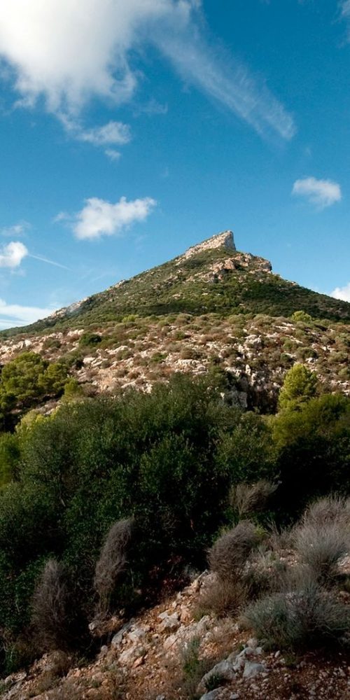 Excursiones en barco en Mallorca según la época del año