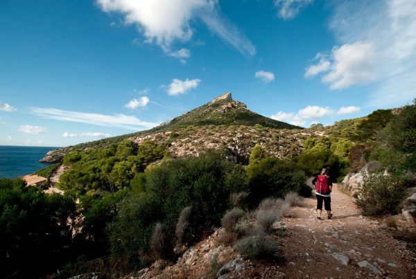 Excursiones en barco en Mallorca según la época del año