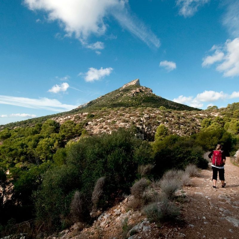 Excursiones en barco en Mallorca según la época del año