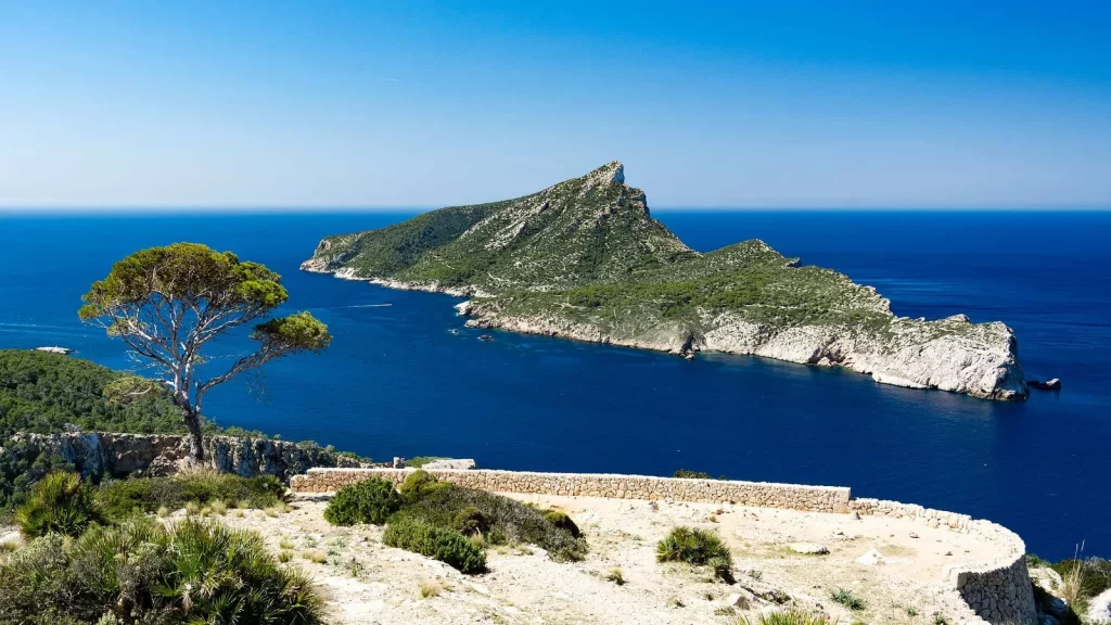 Excursión en barco a Dragonera